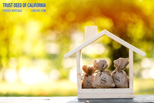 Is a Reverse Mortgage Right for You?